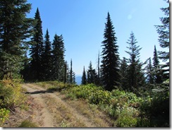 IMG_8154 IMG_8154