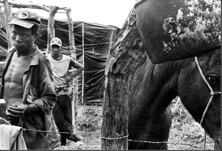 Giulio Di Meo. Fotografia 7