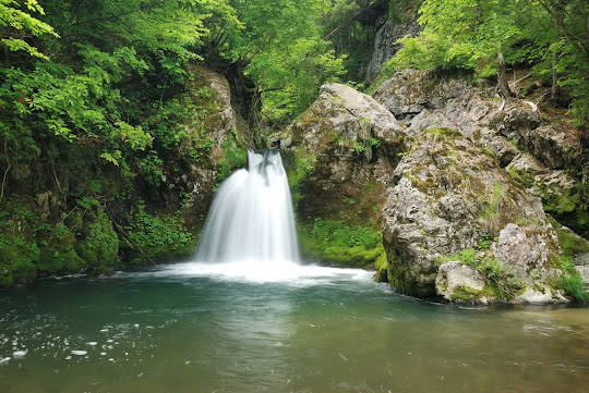 鳴滝