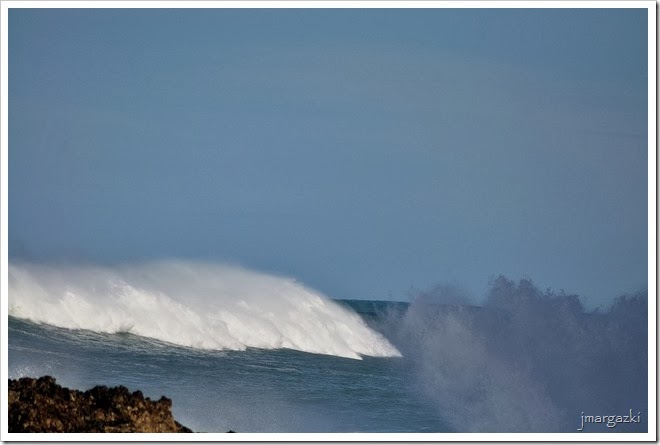 DSC_1696 DSC_1696