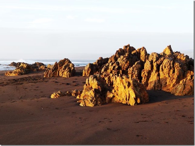 Pichilemu_DSC02677