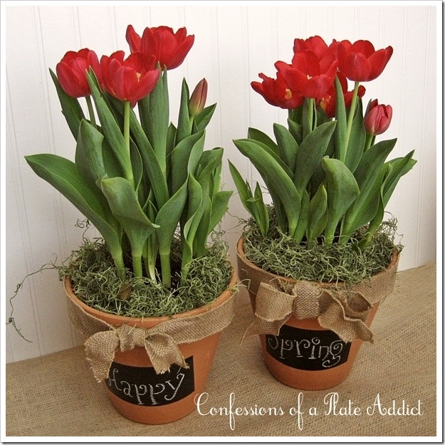CONFESSIONS OF A PLATE ADDICT Chalkboard Flower Pots CONFESSIONS OF A PLATE ADDICT Chalkboard Flower Pots2
