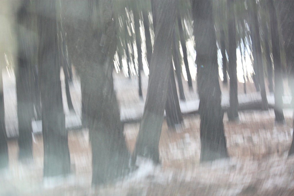 [Mt%2520Lemmom%2520ShowLow%2520trip%2520005%255B2%255D.jpg]