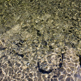 IMG_8546.jpg