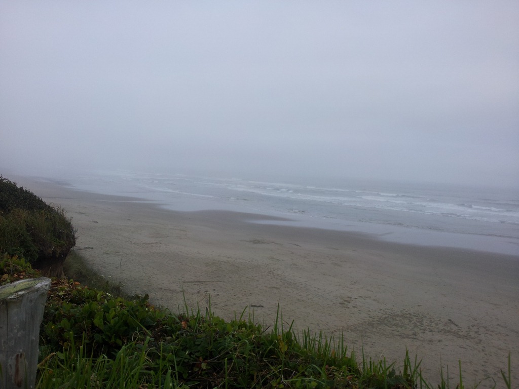 [Whaler%2527s%2520Rest%2520beach%2520foggy%255B3%255D.jpg]