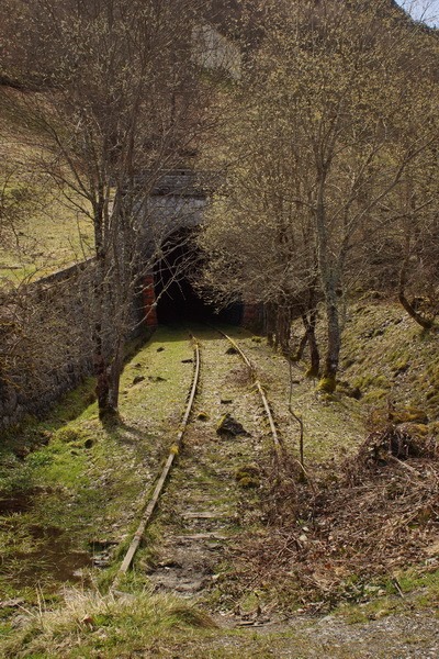 [CNF13-08543.jpg]