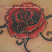 fleurs (24).jpg