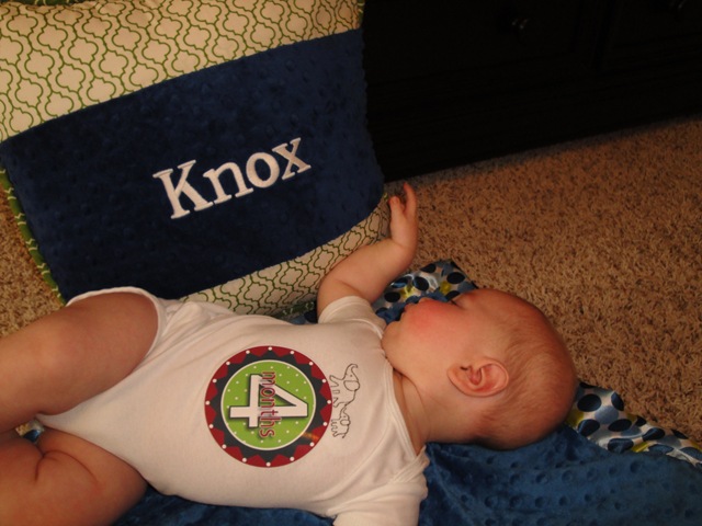 [23.%2520%2520Knox%2520playing%2520with%2520pillow%255B3%255D.jpg]