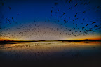 20111127-_DSC1605-Edit.jpg
