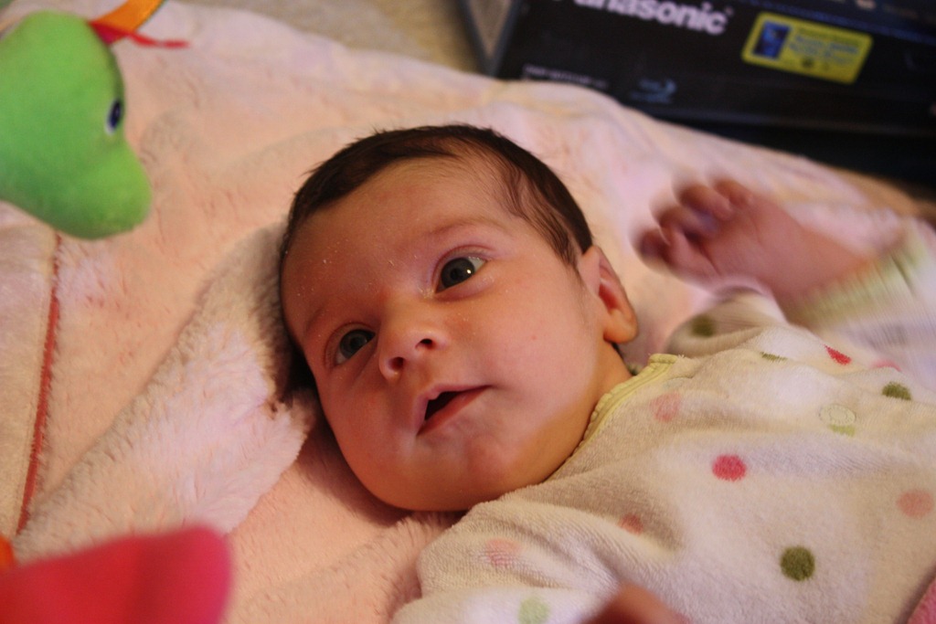 [IMG_3989%255B3%255D.jpg]