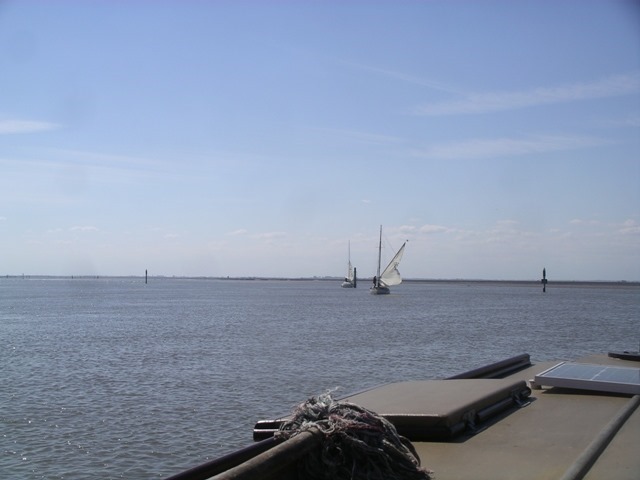 IMGP4454