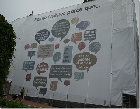 P1000546 P1000546