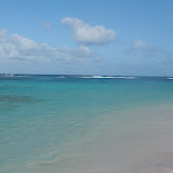 bowers 2009 051.JPG