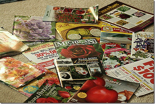 Catalogs