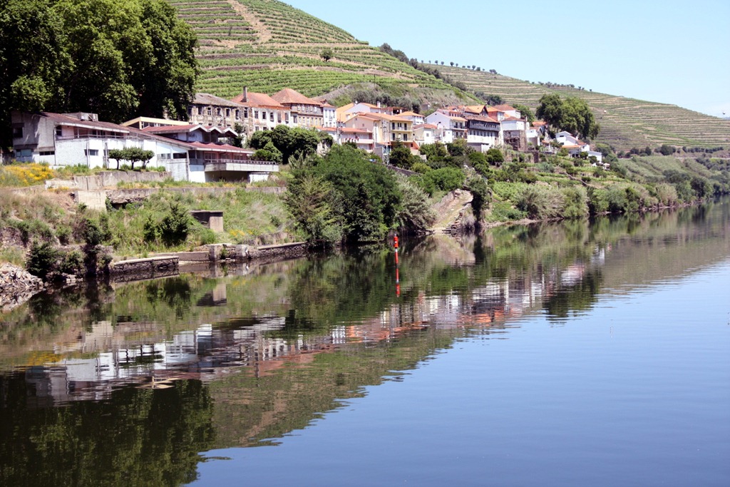 [IMG_3092-1%255B2%255D.jpg]