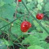 dsc01303.jpg