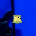 _DSC4445.jpg