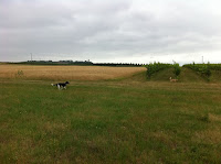 159.JPG Photo