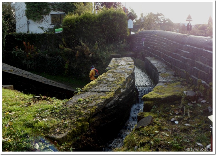 SAM_3961 Mini Aqueduct SAM_3961 Mini Aqueduct