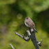P1050253