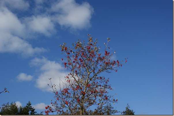 Blå himmel