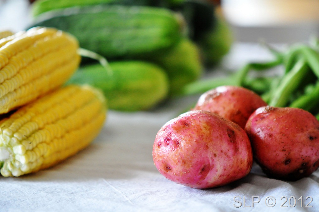 [veges%255B9%255D.jpg]