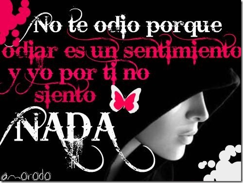 LA RAZÓN DE SER..... - Página 2 Te%252520odio%252520parasanvalentin%252520%2525287%252529_thumb%25255B5%25255D