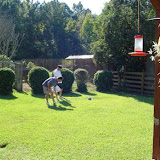 Gary and Brian pick up dog poop.
