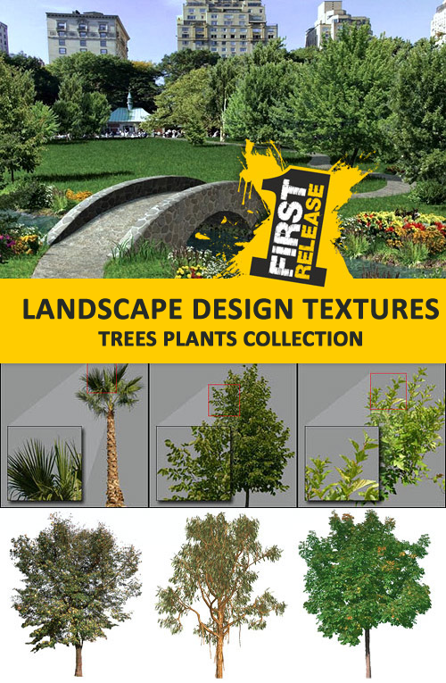 http://lh3.ggpht.com/-KpX7NWp-nUQ/Tuc9_3J43EI/AAAAAAAACMA/lphV0gApsQ8/3dsmax-stuff.blogspot.com_Landscape-Design-Textures---Trees-Plants-Collection%25255B2%25255D.png?imgmax=800