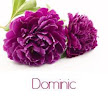 Purple Peonies 6 Nameplace