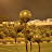 DSC_0706.JPG