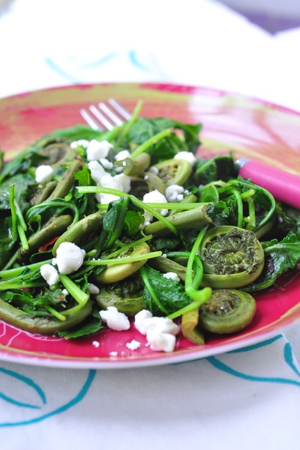FH_kale FH_kale