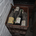 DSC_0414.jpg