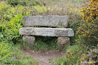 IMG_7998.JPG Photo