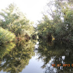 DSCN4475.JPG