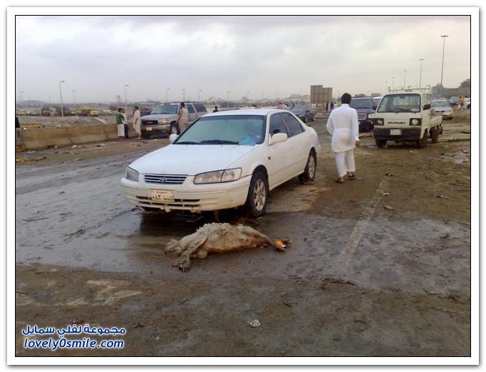 Flood pics from Jeddah
