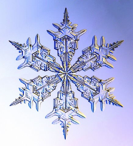 [snowflake-2%255B9%255D.jpg]