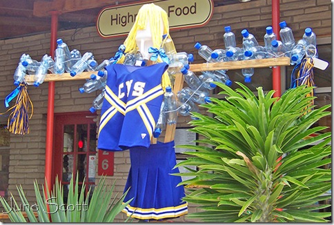 Cheerleader Cheerleader
