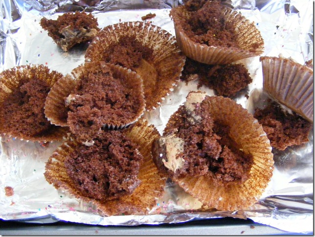 cupcake_disaster_003