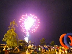 DSC08994 DSC08994
