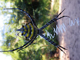 South Africa - 107.JPG
