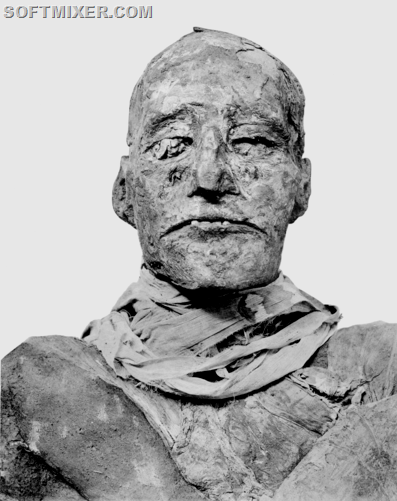 [480px-Ramses_III_mummy_head%255B10%255D.png]