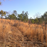 Hunting Habitat 2, Anderson Creek