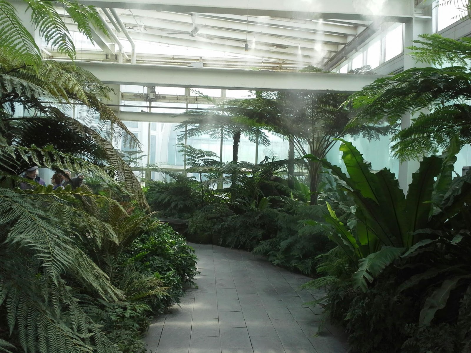 Yes, I Talk to Plants Como Zoo Conservatory