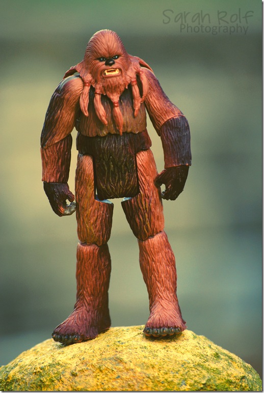 chewbacca-standing-on-a-pol