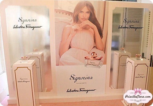 Signorina by Salvatore Ferragamo display copy Signorina by Salvatore Ferragamo display copy