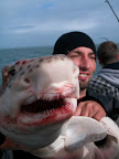 Image138.jpg
