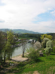 IMG_5494.JPG