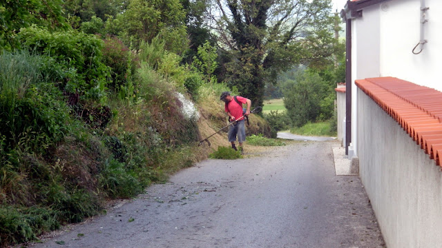 2014-05-Cistilna-akcija-Osek-14.JPG