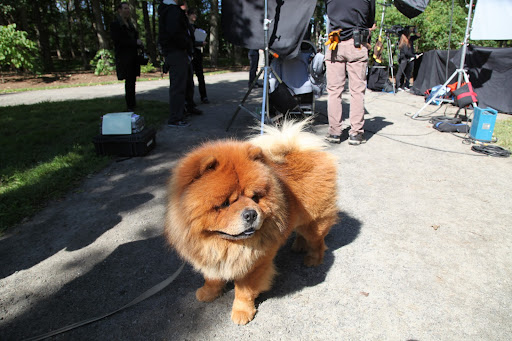 OK, crew - I'm ready and waiting for my close-up on the set of Martha's Halloween Special!